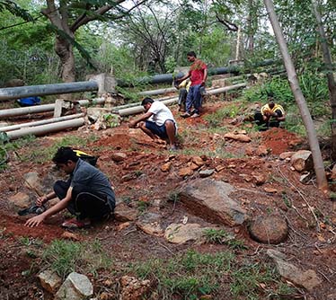 SSSIHL-PSN-Campus-Tree-Planting-17Sep2018-4