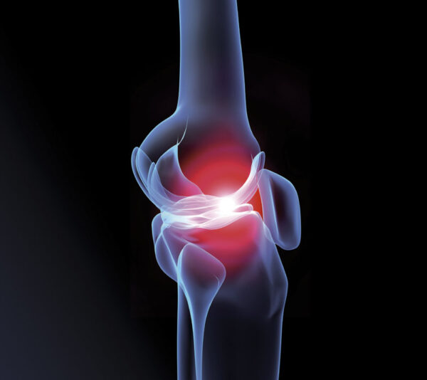 SSSIHL-Research-Spotlight-Knee-joint_LR